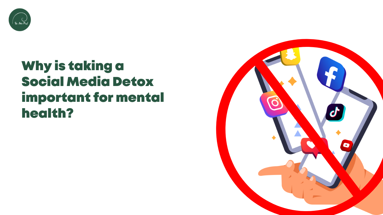 Why is taking a social media detox important for mental health?